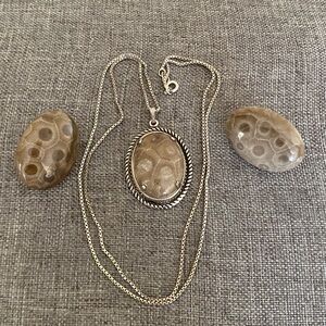 Sterling Silver Necklace with Petoskey Pendant and Earrings (Set)